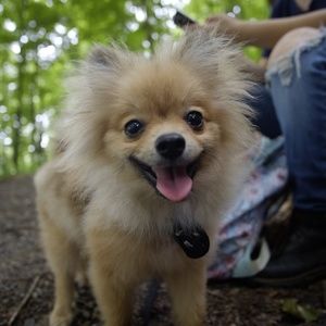 Meet your Posher, Sonia